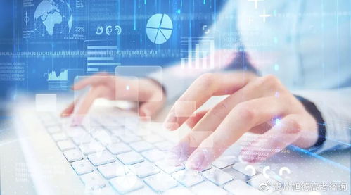 網(wǎng)絡(luò)與信息安全軟件開發(fā) 不同高校專業(yè)名稱相同，但內(nèi)容與目標(biāo)有所差異