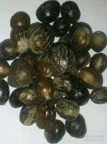 湖北 調(diào)味料 調(diào)味料價格 報價 調(diào)味料品牌廠家