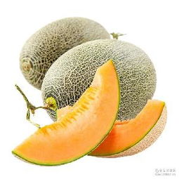 哈密瓜蓉產(chǎn)品綜合指南 價格、型號、圖片及預包裝食品批發(fā)與零售服務